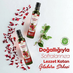 ZÜHRE GİLABURU SİRKESİ 500 ML (12)
