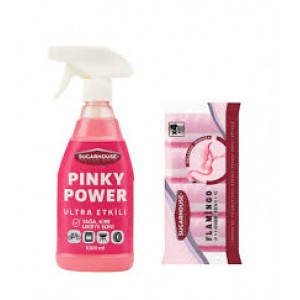 PINKY POWER PEMBE GÜÇ+FLAMINGO SÜNGER OLUKLU 4LÜ