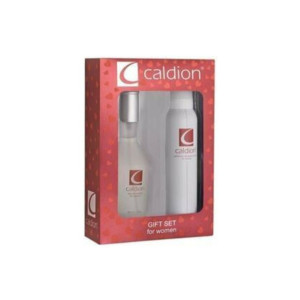 CALDION KOFRE 100 ML BAYAN